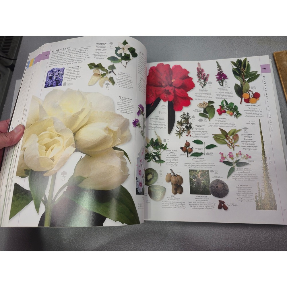 Smithsonian Natural History The Ultimate Visual Guide Everything on Earth DKBook - Picture 6 of 12